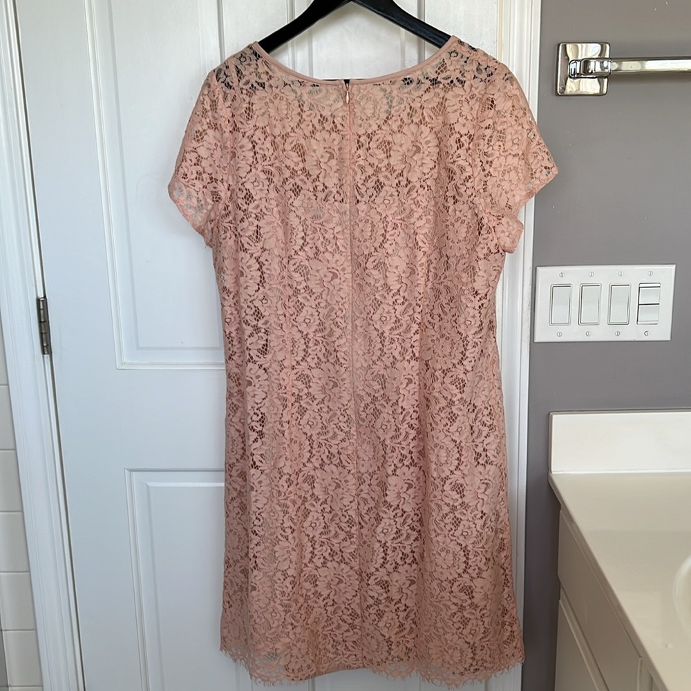 NWT Ann Taylor Loft Eyelash Lace Pink Sheath Dress Mini Above Knee - Picture 6 of 6